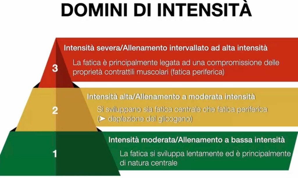 La fatica neuromuscolare nel ciclismo