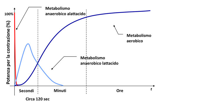 I fattori che determinano la Performance nel Ciclocross